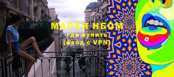 хмурый Абаза
