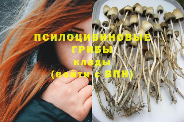 бутират Алексеевка