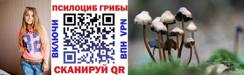 omg онион  Сим  Псилоцибиновые грибы мицелий 